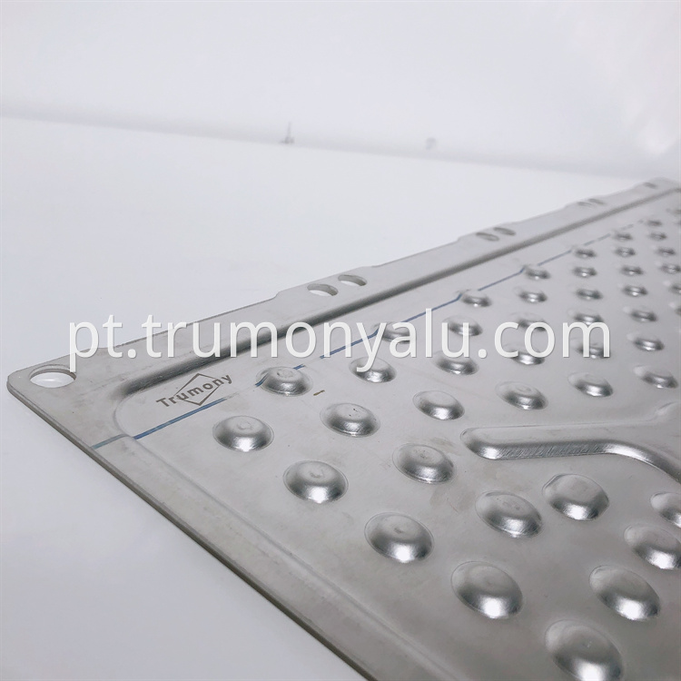 Water cooling plate (10)